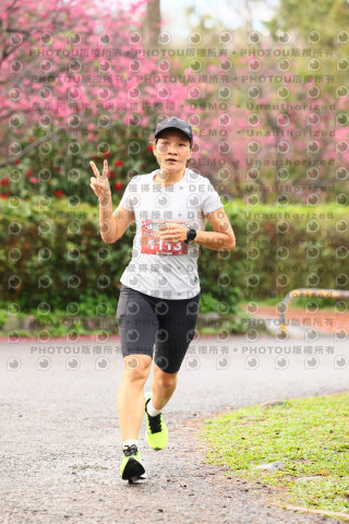 2026左岸竹東櫻花馬拉松Zhudong Sakura Marathon