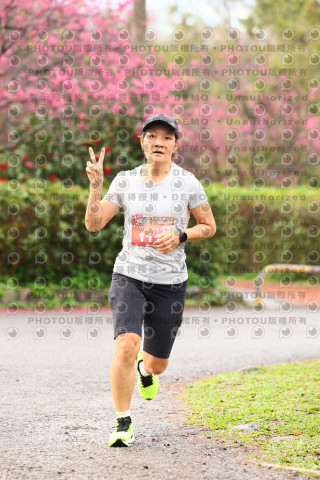 2026左岸竹東櫻花馬拉松Zhudong Sakura Marathon