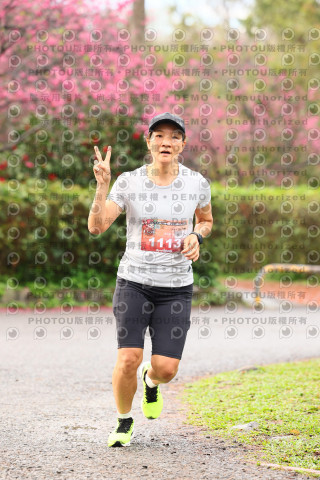 2026左岸竹東櫻花馬拉松Zhudong Sakura Marathon