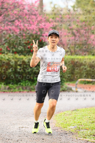 2026左岸竹東櫻花馬拉松Zhudong Sakura Marathon