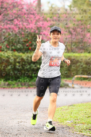 2026左岸竹東櫻花馬拉松Zhudong Sakura Marathon