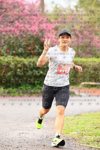 2026左岸竹東櫻花馬拉松Zhudong Sakura Marathon