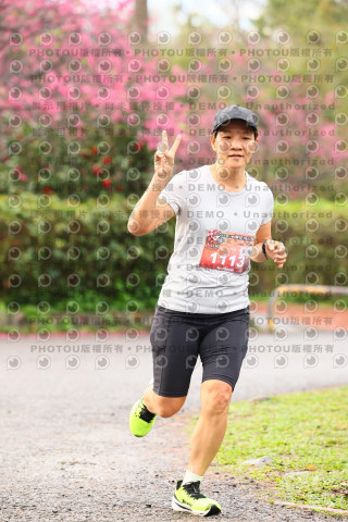 2026左岸竹東櫻花馬拉松Zhudong Sakura Marathon