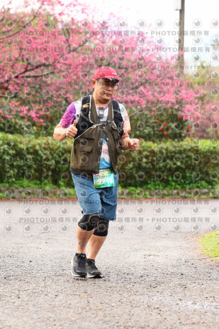 2026左岸竹東櫻花馬拉松Zhudong Sakura Marathon