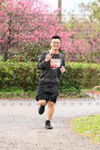 2026左岸竹東櫻花馬拉松Zhudong Sakura Marathon