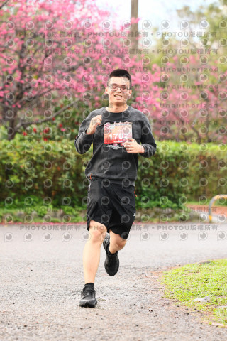 2026左岸竹東櫻花馬拉松Zhudong Sakura Marathon