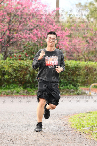 2026左岸竹東櫻花馬拉松Zhudong Sakura Marathon
