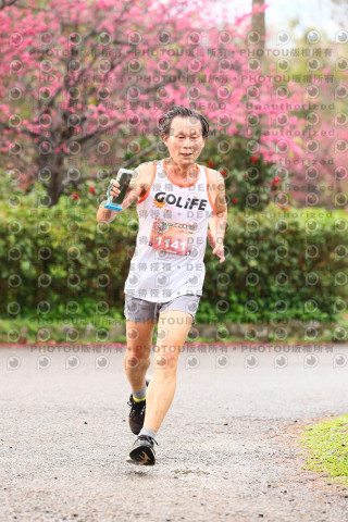 2026左岸竹東櫻花馬拉松Zhudong Sakura Marathon