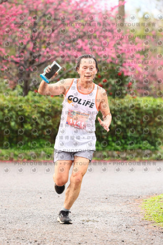 2026左岸竹東櫻花馬拉松Zhudong Sakura Marathon