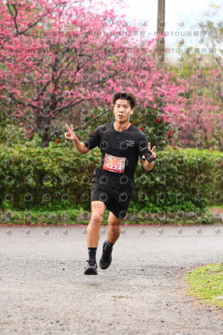 2026左岸竹東櫻花馬拉松Zhudong Sakura Marathon