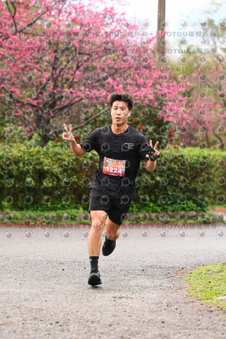 2026左岸竹東櫻花馬拉松Zhudong Sakura Marathon