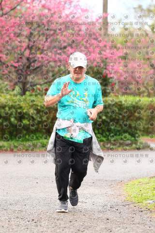 2026左岸竹東櫻花馬拉松Zhudong Sakura Marathon