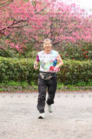 2026左岸竹東櫻花馬拉松Zhudong Sakura Marathon