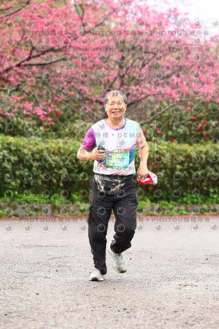 2026左岸竹東櫻花馬拉松Zhudong Sakura Marathon