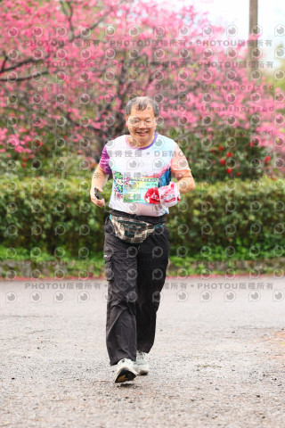 2026左岸竹東櫻花馬拉松Zhudong Sakura Marathon