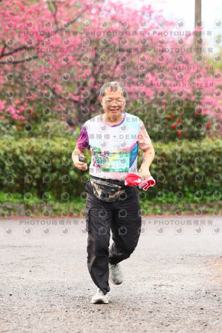 2026左岸竹東櫻花馬拉松Zhudong Sakura Marathon