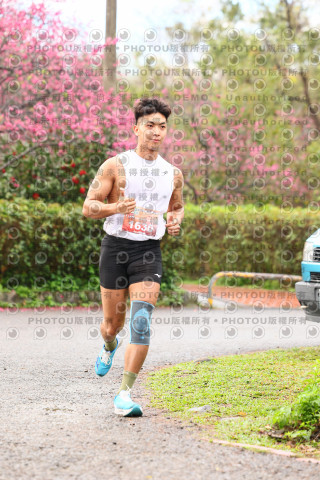2026左岸竹東櫻花馬拉松Zhudong Sakura Marathon