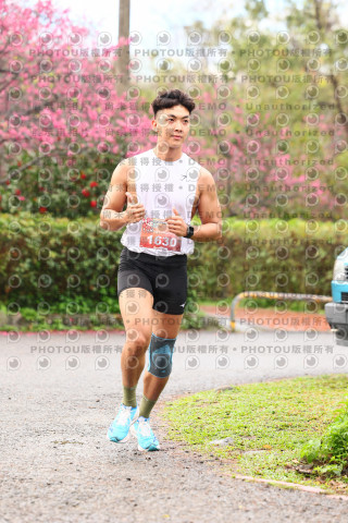 2026左岸竹東櫻花馬拉松Zhudong Sakura Marathon