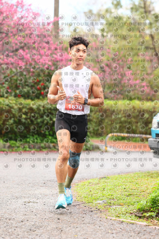 2026左岸竹東櫻花馬拉松Zhudong Sakura Marathon