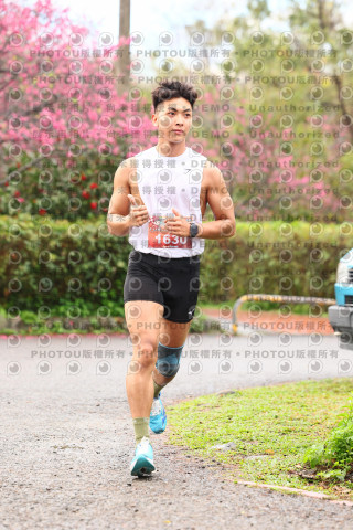 2026左岸竹東櫻花馬拉松Zhudong Sakura Marathon