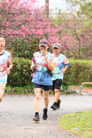 2026左岸竹東櫻花馬拉松Zhudong Sakura Marathon