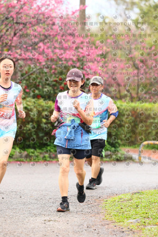 2026左岸竹東櫻花馬拉松Zhudong Sakura Marathon