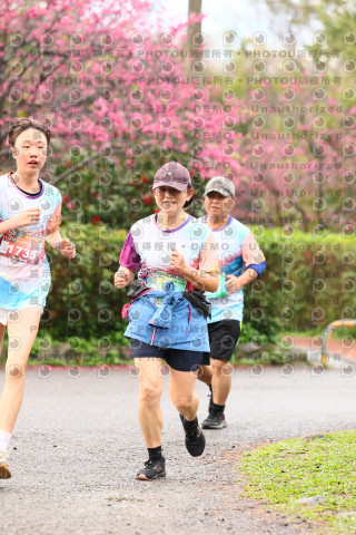 2026左岸竹東櫻花馬拉松Zhudong Sakura Marathon