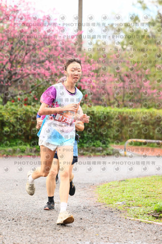 2026左岸竹東櫻花馬拉松Zhudong Sakura Marathon