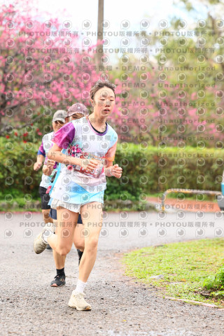2026左岸竹東櫻花馬拉松Zhudong Sakura Marathon