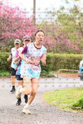 2026左岸竹東櫻花馬拉松Zhudong Sakura Marathon