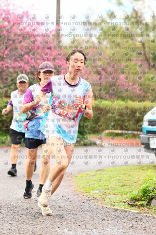 2026左岸竹東櫻花馬拉松Zhudong Sakura Marathon