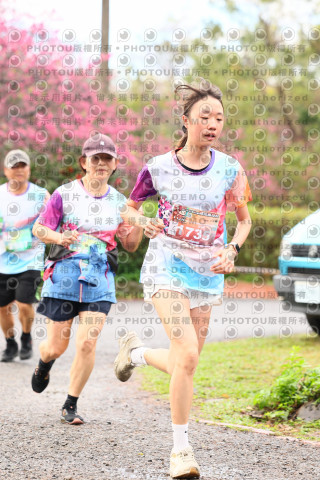 2026左岸竹東櫻花馬拉松Zhudong Sakura Marathon