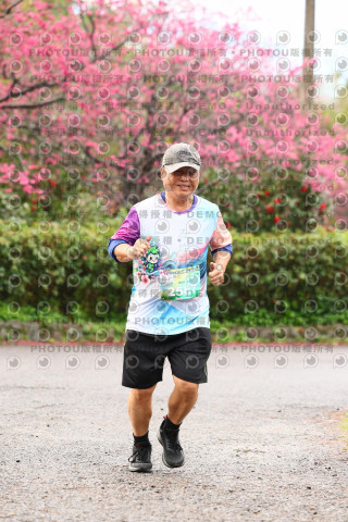 2026左岸竹東櫻花馬拉松Zhudong Sakura Marathon