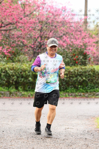 2026左岸竹東櫻花馬拉松Zhudong Sakura Marathon