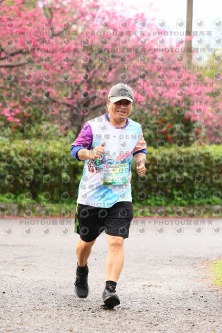 2026左岸竹東櫻花馬拉松Zhudong Sakura Marathon