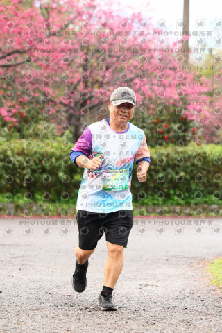 2026左岸竹東櫻花馬拉松Zhudong Sakura Marathon