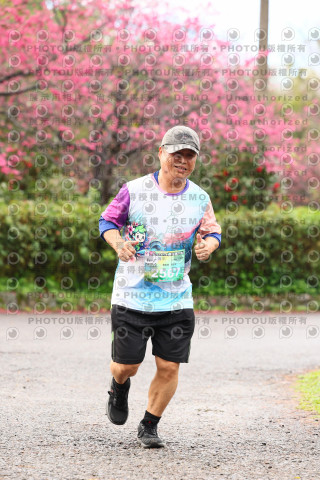 2026左岸竹東櫻花馬拉松Zhudong Sakura Marathon