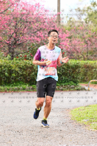2026左岸竹東櫻花馬拉松Zhudong Sakura Marathon