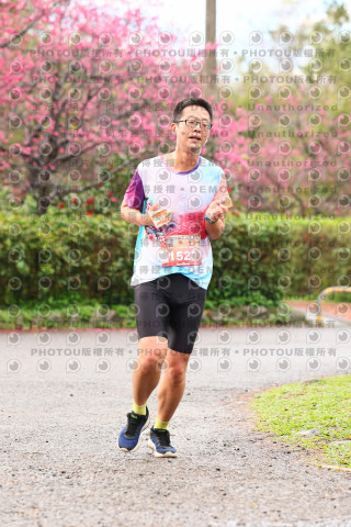 2026左岸竹東櫻花馬拉松Zhudong Sakura Marathon