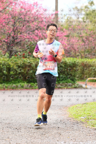 2026左岸竹東櫻花馬拉松Zhudong Sakura Marathon