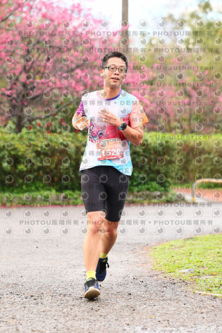 2026左岸竹東櫻花馬拉松Zhudong Sakura Marathon