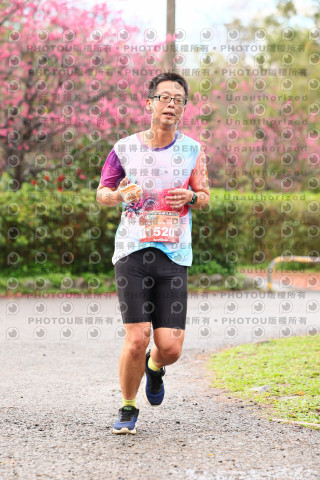 2026左岸竹東櫻花馬拉松Zhudong Sakura Marathon