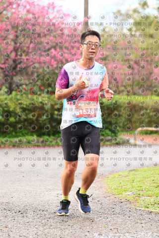 2026左岸竹東櫻花馬拉松Zhudong Sakura Marathon