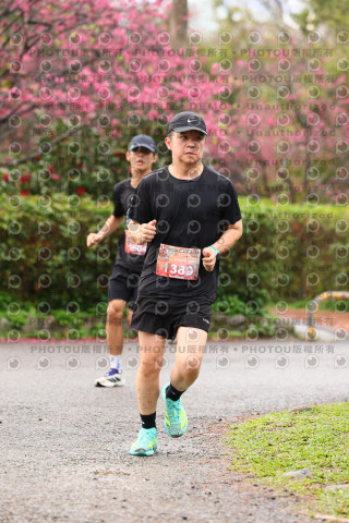 2026左岸竹東櫻花馬拉松Zhudong Sakura Marathon