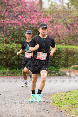 2026左岸竹東櫻花馬拉松Zhudong Sakura Marathon