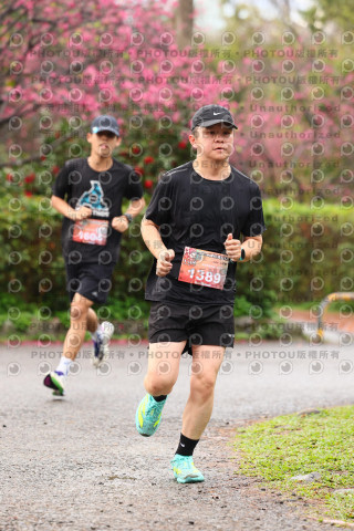 2026左岸竹東櫻花馬拉松Zhudong Sakura Marathon