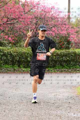 2026左岸竹東櫻花馬拉松Zhudong Sakura Marathon