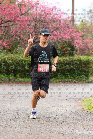 2026左岸竹東櫻花馬拉松Zhudong Sakura Marathon
