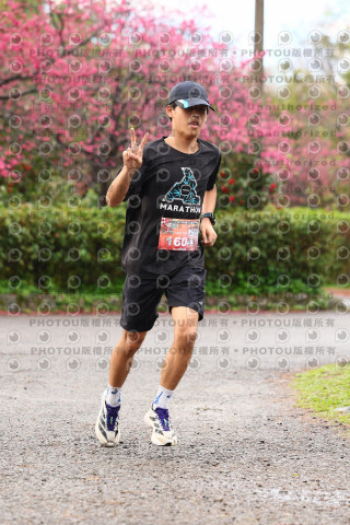 2026左岸竹東櫻花馬拉松Zhudong Sakura Marathon