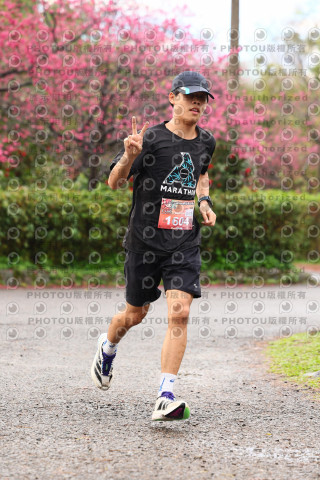 2026左岸竹東櫻花馬拉松Zhudong Sakura Marathon